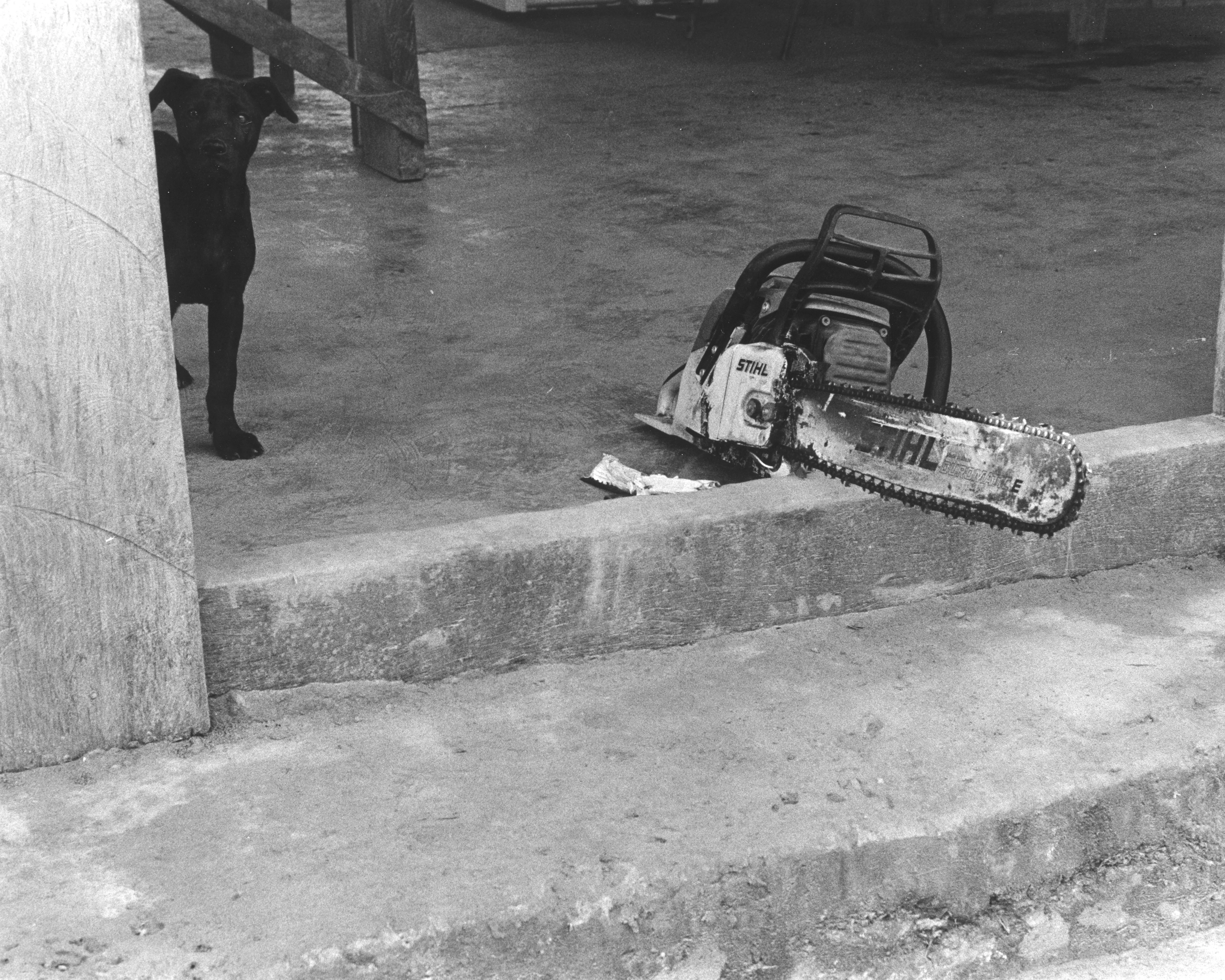 to Koudelka
