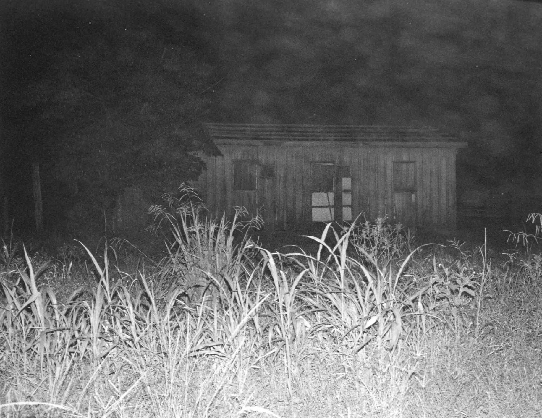 Untitled, House and Dust
